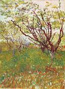 Vincent Van Gogh Cherry Tree USA oil painting artist
